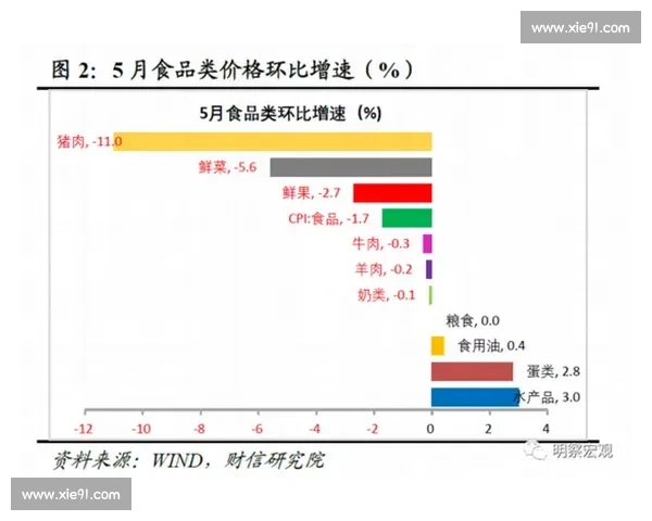 揭开篮球数据分析常见误区还原比赛真实价值背后的判断逻辑 揭开篮球数据分析常见误区还原比赛真实价值背后的判断逻辑