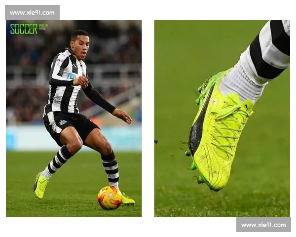 高清足球赛事直播APP下载指南畅享全球赛场精彩即时比分数据分析权威解说 - 副本 - 副本 (34) - 副本 - 副本 - 副本 - 副本 - 副本