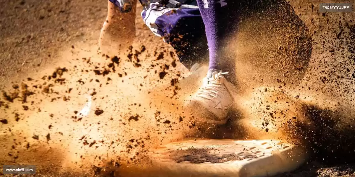 行业领先的理由